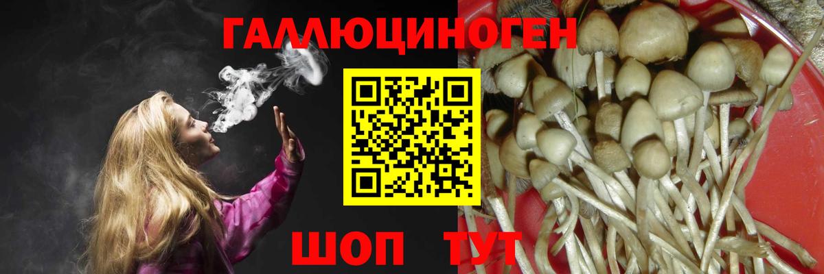 купить наркотик  Псилоцибиновые грибы GOLDEN TEACHER  Вход с VPN  Псилоцибиновые грибы мицелий  Гулькевичи 